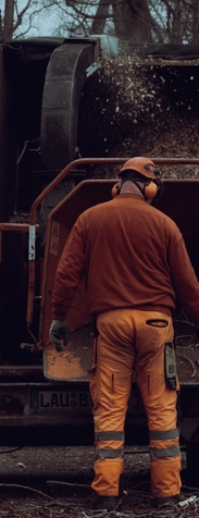 job-image